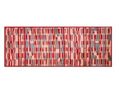 LifeStyle-Mat Designer Fussmatte Haustür – Fussmatten rutschfest und waschbar – Schmutzfangmatte/Fussabstreifer – BUNT 67x170cm