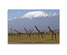Premium Textil-Leinwand 120 x 80 cm Quer-Format Giraffen Am Kilimanjaro | Wandbild, HD-Bild auf Keilrahmen, Fertigbild auf hochwertigem Vlies, Leinwanddruck von Michael Herzog