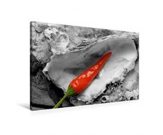 Calvendo Premium Textil-Leinwand 90 cm x 60 cm Quer, Pepperoni als ColorKey | Wandbild, Bild auf Keilrahmen, Fertigbild auf Echter Leinwand, Leinwanddruck: Austernschale als ColorKey Natur Natur