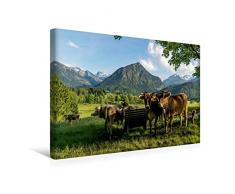 Calvendo Premium Textil-Leinwand 45 cm x 30 cm Quer, AllgÃ¤uer Braunvieh | Wandbild, Bild auf Keilrahmen, Fertigbild auf Echter Leinwand, Leinwanddruck Orte Orte