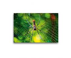 Premium Textil-Leinwand 45 x 30 cm Quer-Format Spinnennetze - Wunder der Natur | Wandbild, HD-Bild auf Keilrahmen, Fertigbild auf hochwertigem Vlies, Leinwanddruck von Peter Roder