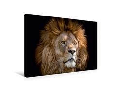Premium Textil-Leinwand 45 x 30 cm Quer-Format LÃ¶wen | Wandbild, HD-Bild auf Keilrahmen, Fertigbild auf hochwertigem Vlies, Leinwanddruck von N N