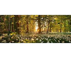 Pro-Art gla901c Wandbild Glas-Art Sweet woodruff I, 30 x 80 cm