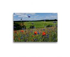 Calvendo Premium Textil-Leinwand 45 cm x 30 cm quer, EIN Motiv aus dem Kalender Roter Mohn, Bunte Wiesen | Wandbild, Bild auf Keilrahmen, Fertigbild auf echter Leinwand, Leinwanddruck Natur Natur