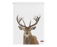Lichtblick Rollo Klemmfix, 45 x 150 cm mit Motiv Hirsch - Weiß Braun Montage ohne Bohren, moderner Sicht-und Sonnenschutz, Motivrollo, lichtdurchlässig & Blickdicht