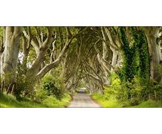 Pro-Art g1661g Wandbild Giclée Sparkling forest 100 x 50 cm