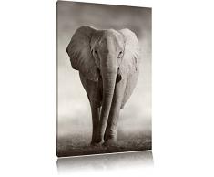 Pixxprint LFs7884_60x40 einsamer Elefant in afrikanischer Savanne fertig gerahmt mit Keilrahmen Kunstdruck kein Poster oder Plakat auf Leinwand, 60 x 40 cm