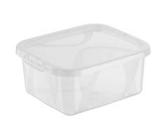 Rotho Arco Aufbewahrungsbox 2, Kunststoff (PP), Transparent, 2 Liter