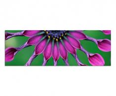 Panoramabild auf Leinwand und Keilrahmen 150x50cm Hawaii Blume BlÃ¼te tropisch