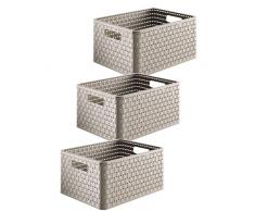 Rotho 3er-Set Aufbewahrungskisten 18 l in Rattan-Optik, Kunststoff (PP), Cappuccino, A4/18 Liter (36,8 x 27,8 x 19,1 cm)