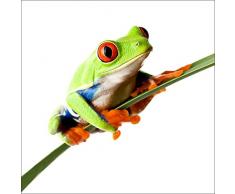 Pro-Art gla512b Wandbild Glas-Art Frosch, 50 x 50 cm