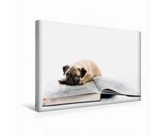 Calvendo Premium Textil-Leinwand 45 cm x 30 cm Quer Weltenbummler | Wandbild, Bild auf Keilrahmen, Fertigbild auf Echter Leinwand, Leinwanddruck