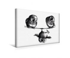 Premium Textil-Leinwand 45 x 30 cm Quer-Format Drei Eulen Freiheit und Spaß | Wandbild, HD-Bild auf Keilrahmen, Fertigbild auf hochwertigem Vlies, Leinwanddruck von Stefan Kahlhammer