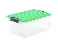 Rotho 1776005094 Compact Aufbewahrungsbox mit Deckel, Kunststoff, transparent/grün