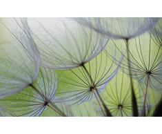 Olimpia Design 271VEXXL Fototapete, Vlies, mehrfarbig, 0.02 x 312 x 219 cm