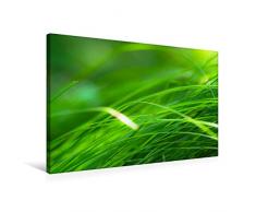 Premium Textil-Leinwand 75 x 50 cm Quer-Format Die Natur so nah | Wandbild, HD-Bild auf Keilrahmen, Fertigbild auf hochwertigem Vlies, Leinwanddruck von Torsten Mitschke