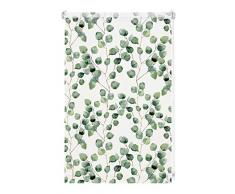 GARDINIA Rollo Digiprint Isabella zum Klemmen, Tageslicht-Rollo mit Digitaldruck, Blickdicht, Alle Montage-Teile inklusive, WeiÃ/Dekor, 100 x 150 cm (BxH)