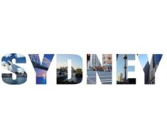 INDIGOS 4052166112949 Wandtattoo w542 Hunde Wandaufkleber 96 x 18 cm, grün