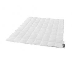 Traumnacht Basis leichte Daunendecke mit neuen weißen Daunen (80%) und Federn (20%), DIN EN 12934, 200 x 200 cm