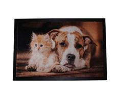 Carpido Lisa-Design Hund & Katze Fußmatte - Sauberlauf - Schmutzfangmatte - Haustier - 40 x 60 cm