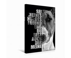 Calvendo Leinwand Bullterrier 30x45cm, Special-Edition Wandbild, Bild auf Keilrahmen, Fertigbild auf hochwertigem Textil, Leinwanddruck, kein Poster
