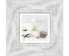 Pro-Art AN588P17 gerahmtes Wandbild White line, bunt