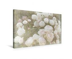 Premium Textil-Leinwand 75 x 50 cm Quer-Format Romantische Rosen - Shabby Chic Style | Wandbild, HD-Bild auf Keilrahmen, Fertigbild auf hochwertigem Vlies, Leinwanddruck von Martina Cross