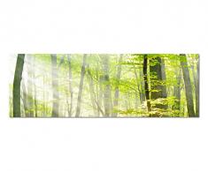 Panoramabild auf Leinwand und Keilrahmen 150x50cm BÃ¤ume Wald Sonnenstrahlen Herbst