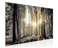 Bilder Wald Landschaft Wandbild 150 x 60 cm Vlies - Leinwand Bild XXL Format Wandbilder Wohnzimmer Wohnung Deko Kunstdrucke Braun 5 Teilig - MADE IN GERMANY - Fertig zum Aufhängen 503856a
