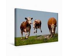 Premium Textil-Leinwand 45 x 30 cm Quer-Format Kuh im Flug | Wandbild, HD-Bild auf Keilrahmen, Fertigbild auf hochwertigem Vlies, Leinwanddruck von Karolina Gasteiger