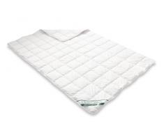 Badenia Bettcomfort Steppbett Clean Cotton leicht, 135 x 200 cm, weiÃ