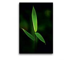 Premium Textil-Leinwand 50 x 75 cm Hoch-Format Naturschönheiten | Wandbild, HD-Bild auf Keilrahmen, Fertigbild auf hochwertigem Vlies, Leinwanddruck von Gabi Siebenhühner