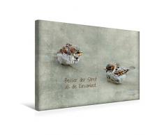 Premium Textil-Leinwand 45 x 30 cm Quer-Format Puschelige Spatzen und Irischer Segenswunsch | Wandbild, HD-Bild auf Keilrahmen, Fertigbild auf hochwertigem Vlies, Leinwanddruck von Heike Hultsch
