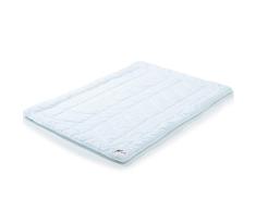 CelinaTex First Class Duo Bettdecke 200 x 240 cm Winter Steppdecke warm Qualitäts Decke Herbst atmungsaktiv