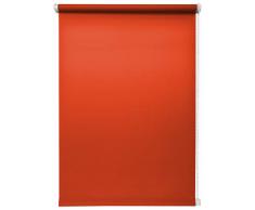 Tageslichtrollo Litschi 100x150 cm ohne Bohren Klemmfix ohne Bohren Sichtschutzrollo Seitenzugrollo Klemmrollo