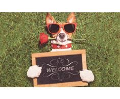 oKu-Tex Fußmatte | Schmutzfangmatte | Deco-Star | Aufdruck/Motiv | Hund mit Sonnenbrille | Welcome | lustig | Innenbereich / Eingangsbereich | rutschfest | 50x80 cm