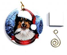 Hund Weihnachten Ornament 7,6 cm Porzellan mit Geschenkbox mit Baum Haken und Magnet Pet Urlaub Dekoration Bundle von Impressum Plus (Ho 001) Sheltie (Tri-Color)