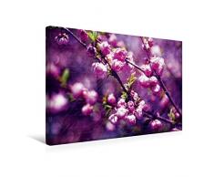 Premium Textil-Leinwand 45 x 30 cm Quer-Format Mandelblüten Vintage Style | Wandbild, HD-Bild auf Keilrahmen, Fertigbild auf hochwertigem Vlies, Leinwanddruck von Martina Cross