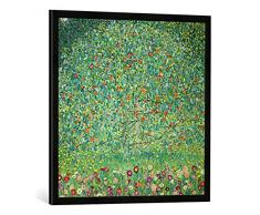 Gerahmtes Bild von Gustav Klimt Apfelbaum I, Kunstdruck im hochwertigen handgefertigten Bilder-Rahmen, 70x70 cm, Schwarz matt