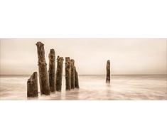 Pro-Art GLA1216C Wandbild Glas-ArtAlone, Bunt