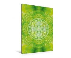 Premium Textil-Leinwand 60 x 90 cm Hoch-Format Blume des Lebens - Heilkraft Natur | Wandbild, HD-Bild auf Keilrahmen, Fertigbild auf hochwertigem Vlies, Leinwanddruck von Gaby Shayana Hoffmann