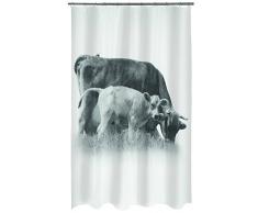 Spirella Duschvorhang, Bunt