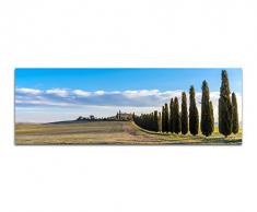 Panoramabild auf Leinwand und Keilrahmen 150x50cm Italien Toskana Landschaft Zypressen Wiesen