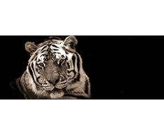 Pro-Art gla165c Wandbild Glas-Art Tiger, 30 x 80 cm
