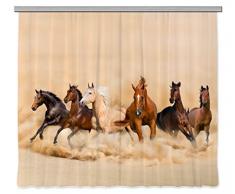 AG Design Kinderzimmer Gardine/Vorhang, Stoff, Mehrfarbig, 0.1 x 280 x 245 cm