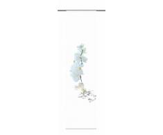 Home Fashion 87211-701 Schiebevorhang Digitaldruck Calais, Dekostoff, 245 x 60 cm, weiß