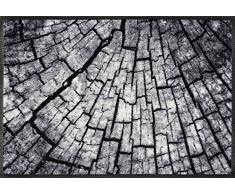 Wash + Dry Timber Fußmatte, Acryl, grau, 50 x 75 x 0.7 cm