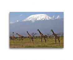 Premium Textil-Leinwand 75 x 50 cm Quer-Format Giraffen Am Kilimanjaro | Wandbild, HD-Bild auf Keilrahmen, Fertigbild auf hochwertigem Vlies, Leinwanddruck von Michael Herzog