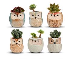 T4U Keramik Sukkulenten-Blumentopf, kleiner Kaktus, Blumentopf, rund, Behälter, Fensterkasten, Zuhause und Büro, Dekoration, Geschenk für Gärtner, Hochzeit, Geburtstag, Weihnachten Full Color Pack of 6