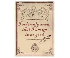 HARRY POTTER Türschild Adorno Parete, Mehrfarbig, 15 x 21 cm